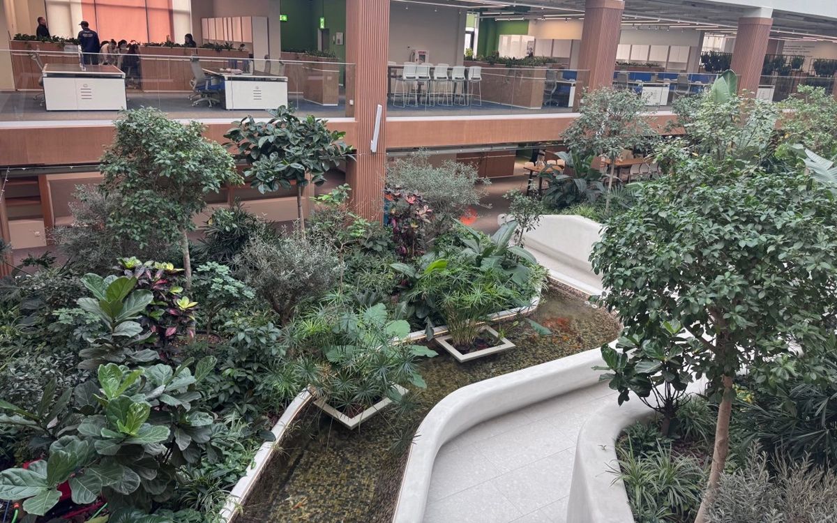 Зимний сад в AMMKZ