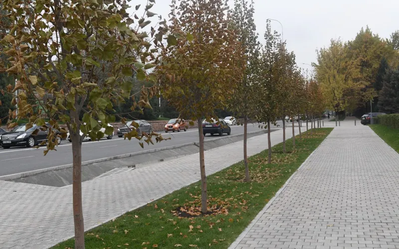 Улица в Алматы