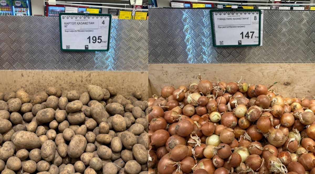 Стоимость картофеля и лука 13 декабря 2025 года
