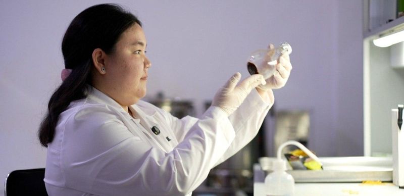 Казахстанский учёный обнаружила в цикории природную защиту от диабета