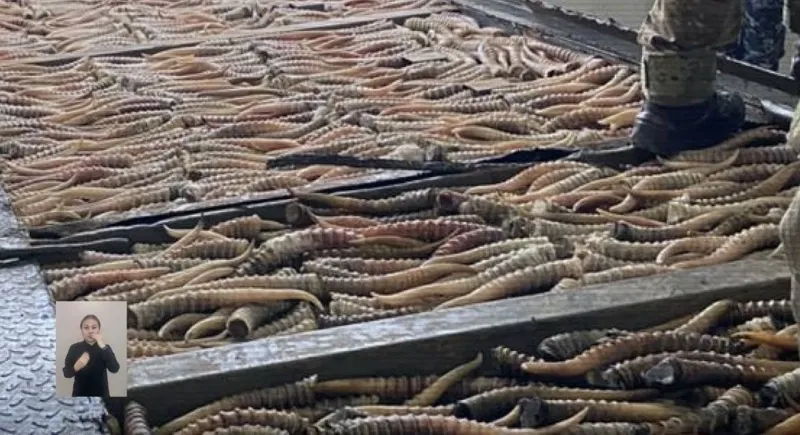 дериваты сайги