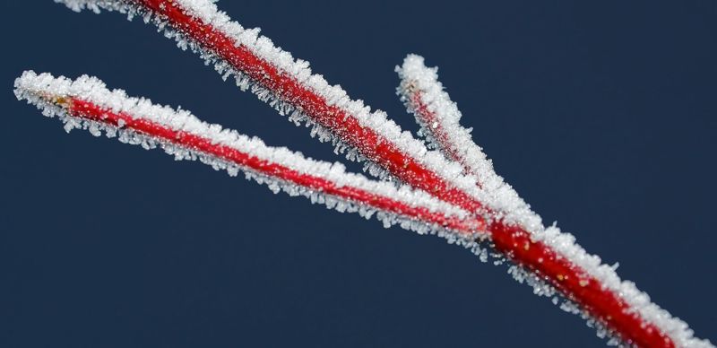 Морозы накрывают Казахстан: Казгидромет объявил серию штормовых предупреждений