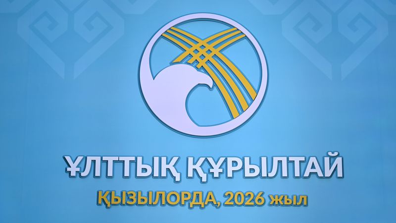 Грузовая авиакомпания и ТЭЦ: президент указал на управленческие просчёты чиновников 