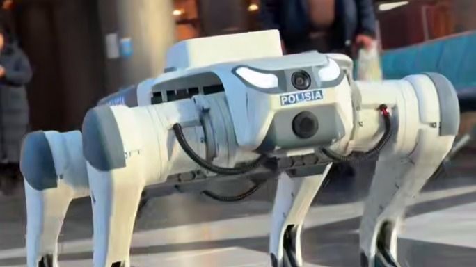 В Астане общественные места начали патрулировать роботы