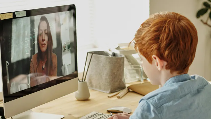 Школьники на "удалёнке"