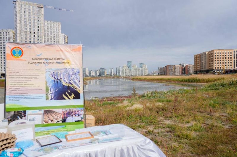 SOS Taldykol требует установить водоохранные зоны на озёрах Талдыколя