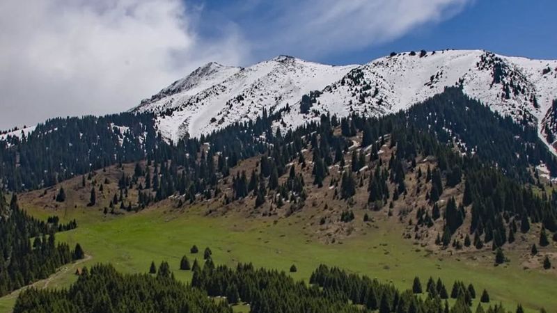 В Казахстане произошло землетрясение