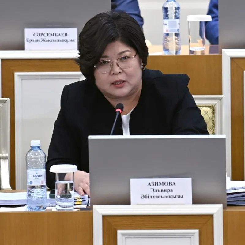 Эльвира Азимова на заседании