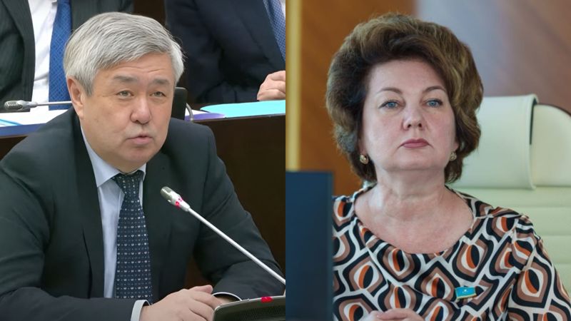 "Это личный выбор каждого" – депутат и вице-министр об аватарках в поддержку Конституции