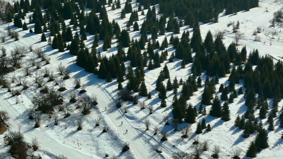 Лыжники на территории комплекса 