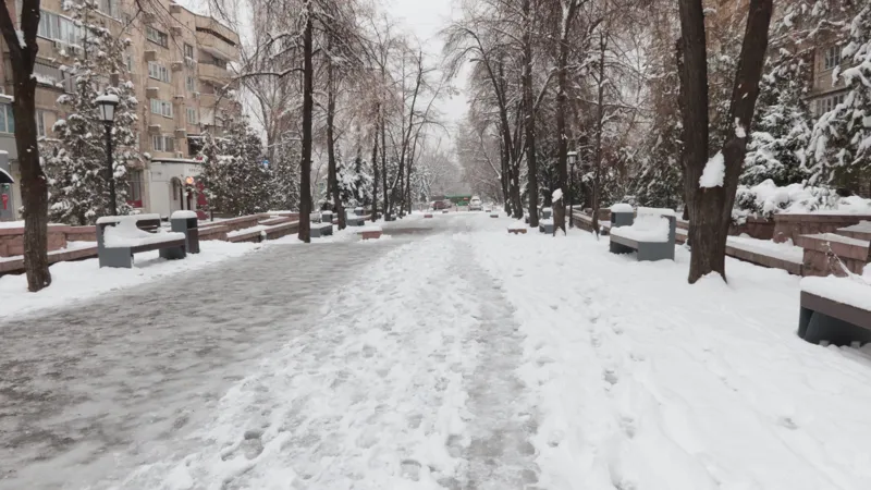 Фото: гололёд на улице Желтоксана, BES