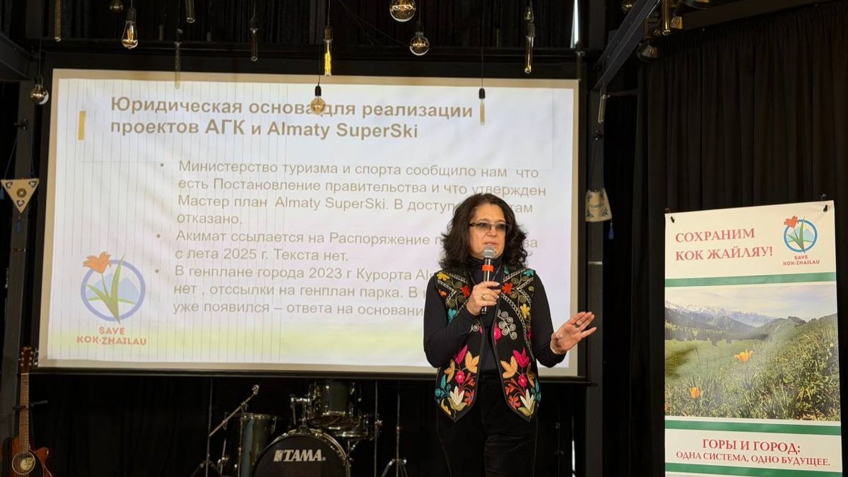 Эксперт в области устойчивого развития транспорта и экополитики Елена Ерзакович