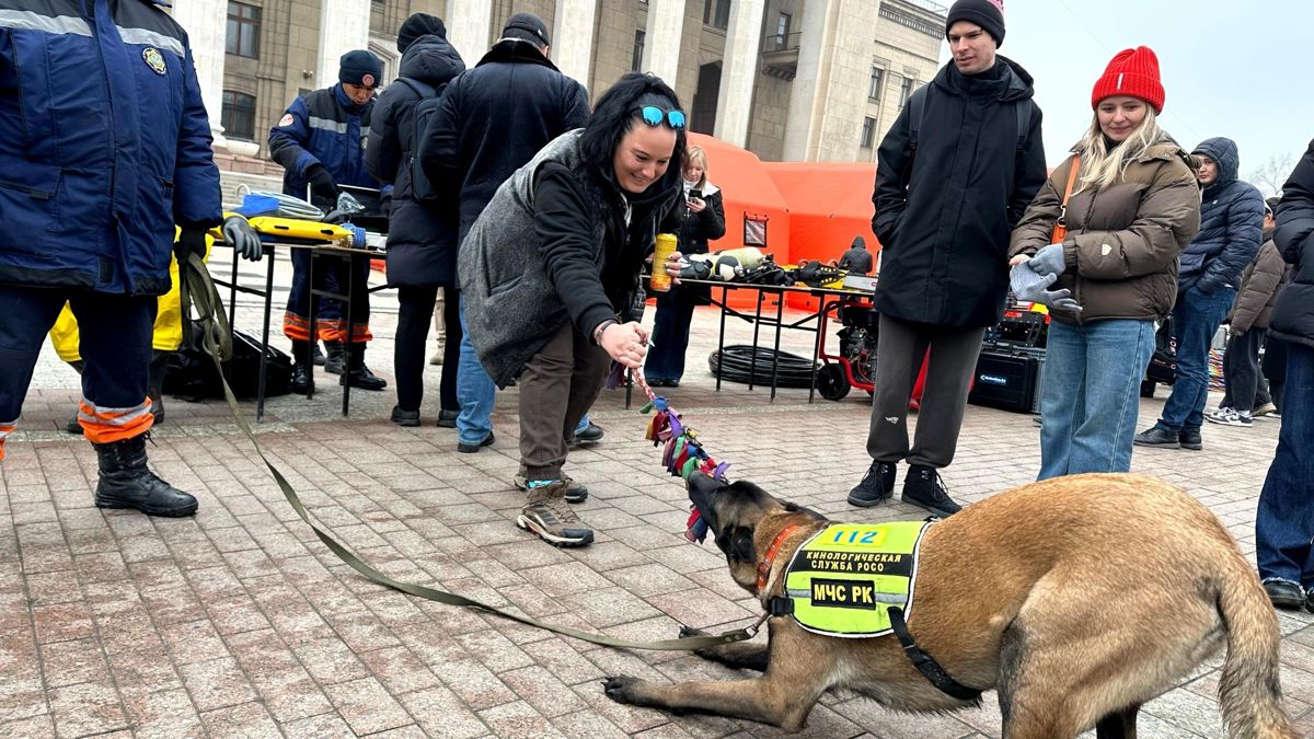 Выставка