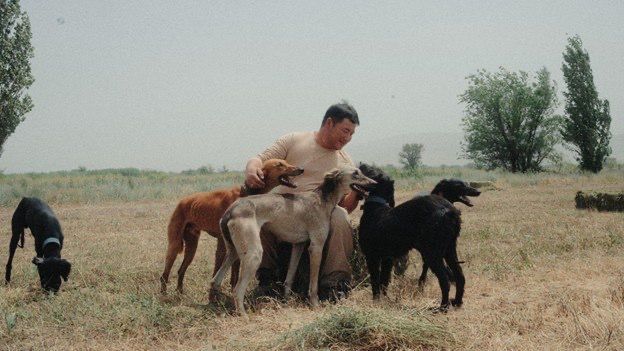 Кана Бейсекеев снял фильм "Тазы" о людях, сохраняющих казахскую породу собак