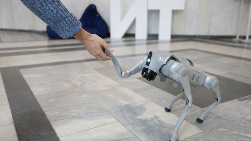 Сербия запустит производство гуманоидных роботов и роботов-собак 