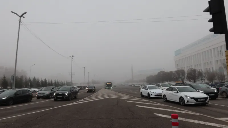 Автобус едет в тумане