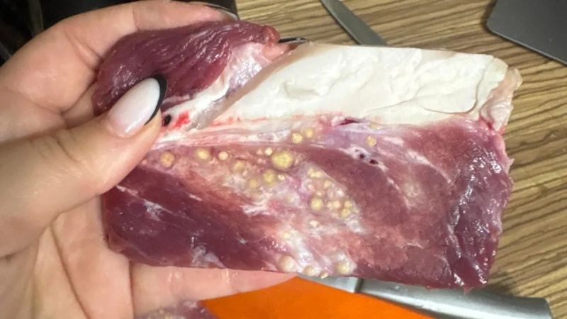 Странные образования в мясе Baron.kz: глава Евразийского союза потребителей прокомментировала ситуацию