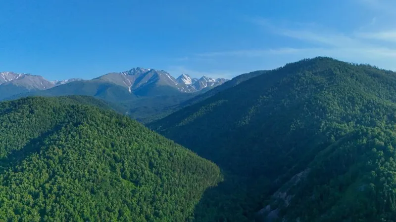 Катон-Карагайский национальный парк