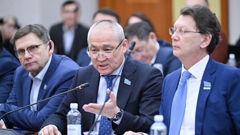 В Казахстане хотят отказаться от возвратного отлова бродячих собак