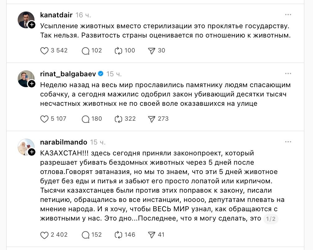 Казахстанцы о поправках, которые принял мажилис