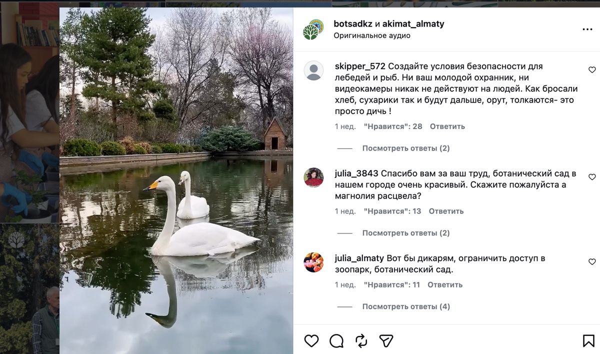 Комментарий пользователей под публикацией 