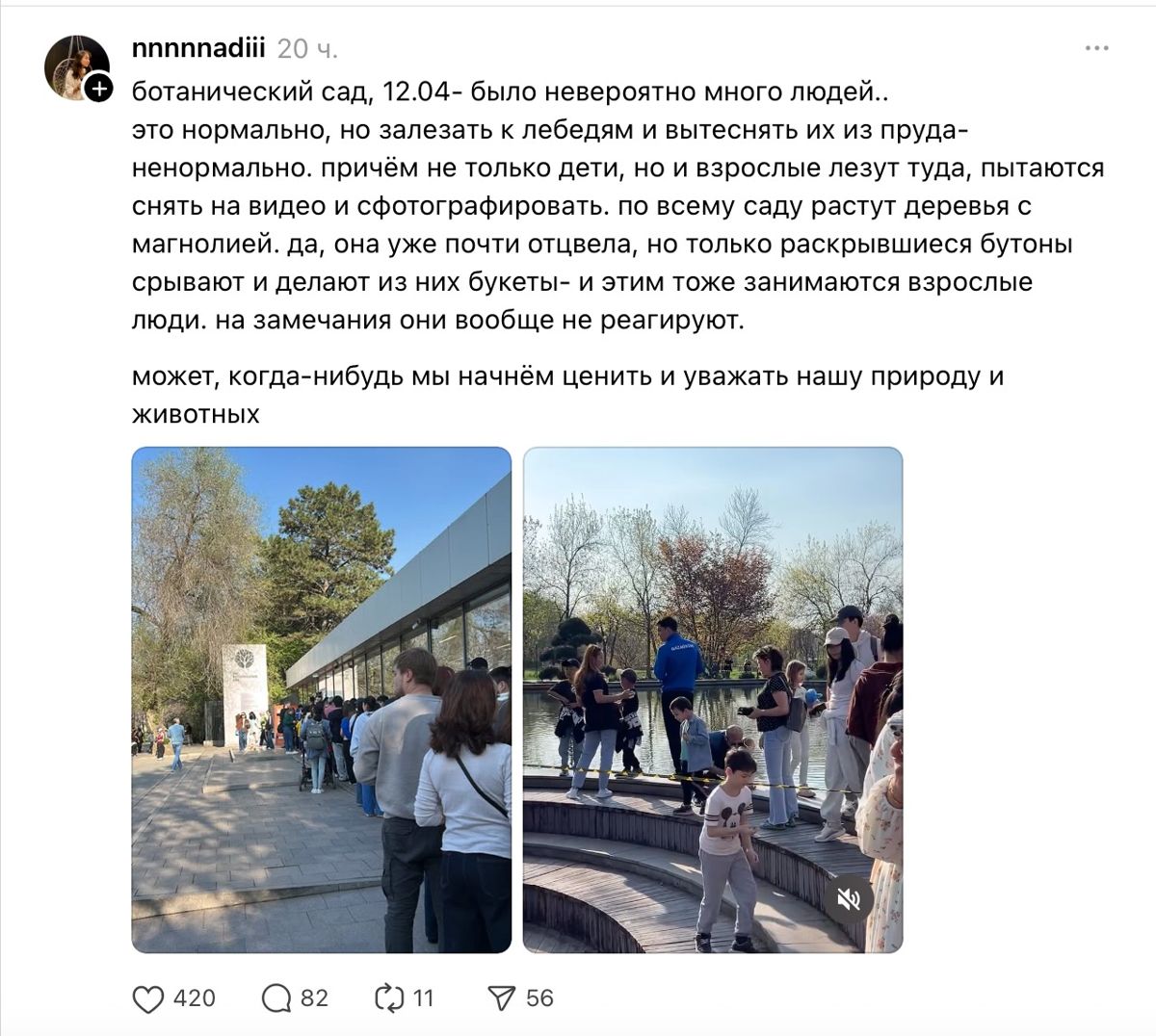 Одно из наблюдений посетителя Ботанического сада