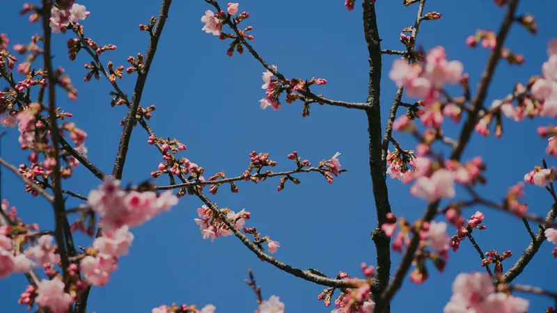 Выходные в мае