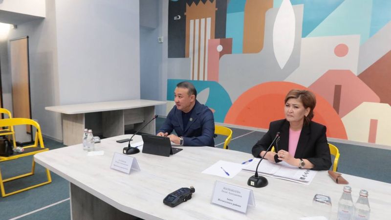 "Всё в частном порядке": аким Жетысуского района высказалась о спорах вокруг генплана