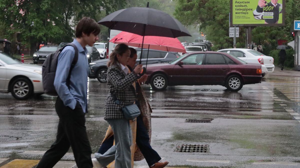 Алматинцы переходят дорогу