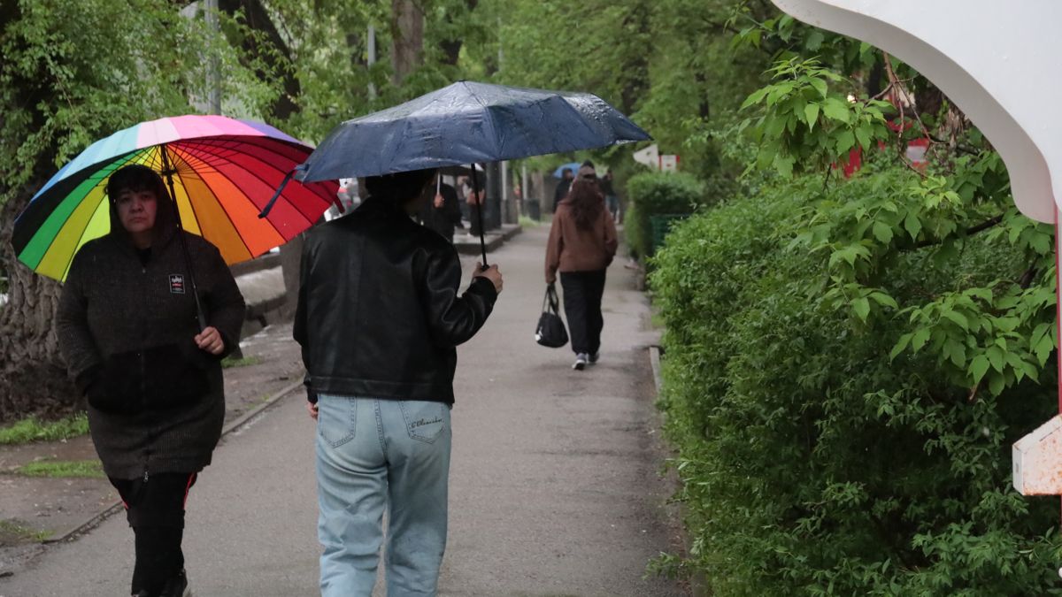 Разные стили зонтов у алматинцев