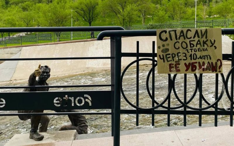 "Спасли собаку, чтобы потом убить?": акция против эвтаназии животных прошла в Алматы
