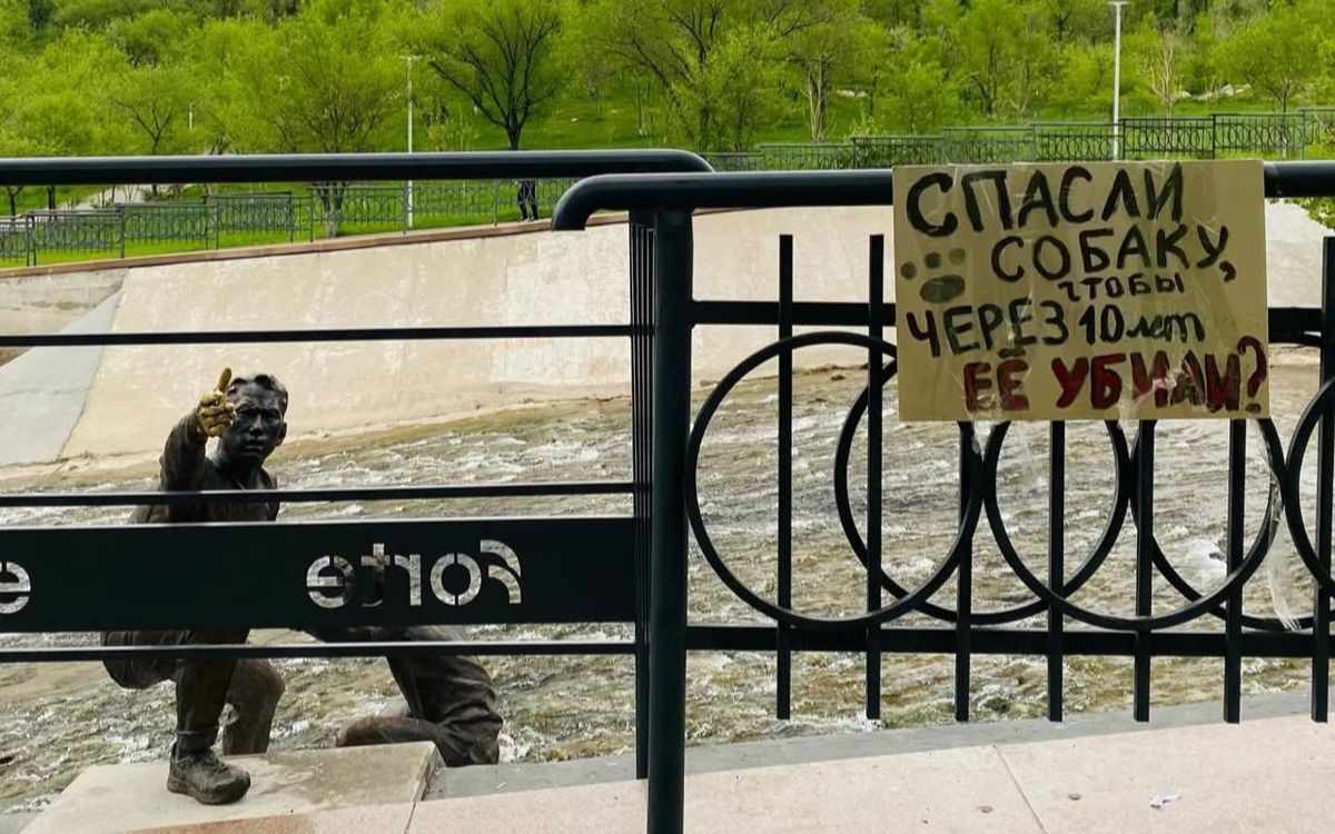 "Спасли собаку, чтобы потом убить?": акция против эвтаназии животных прошла в Алматы