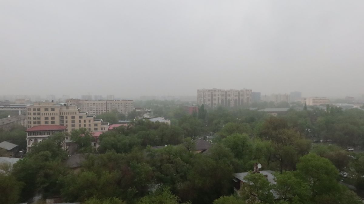 Пасмурная погода с моросящим дождём за окном у алматинцев