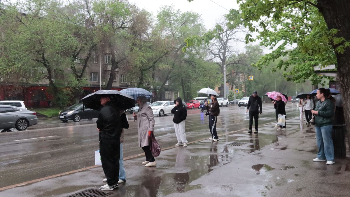 Алматинцы с самыми разными видами зонтов