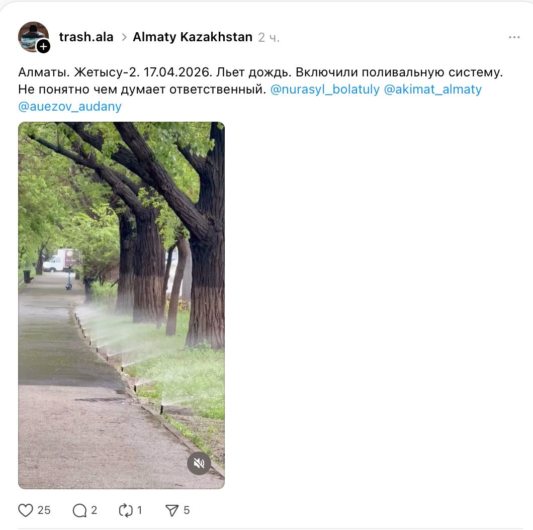 Влаги в городе достаточно