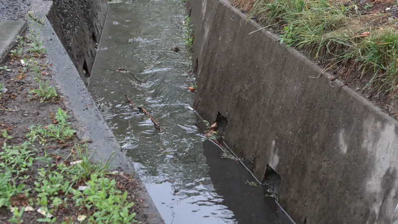Арык с дождевой водой в Алматы
