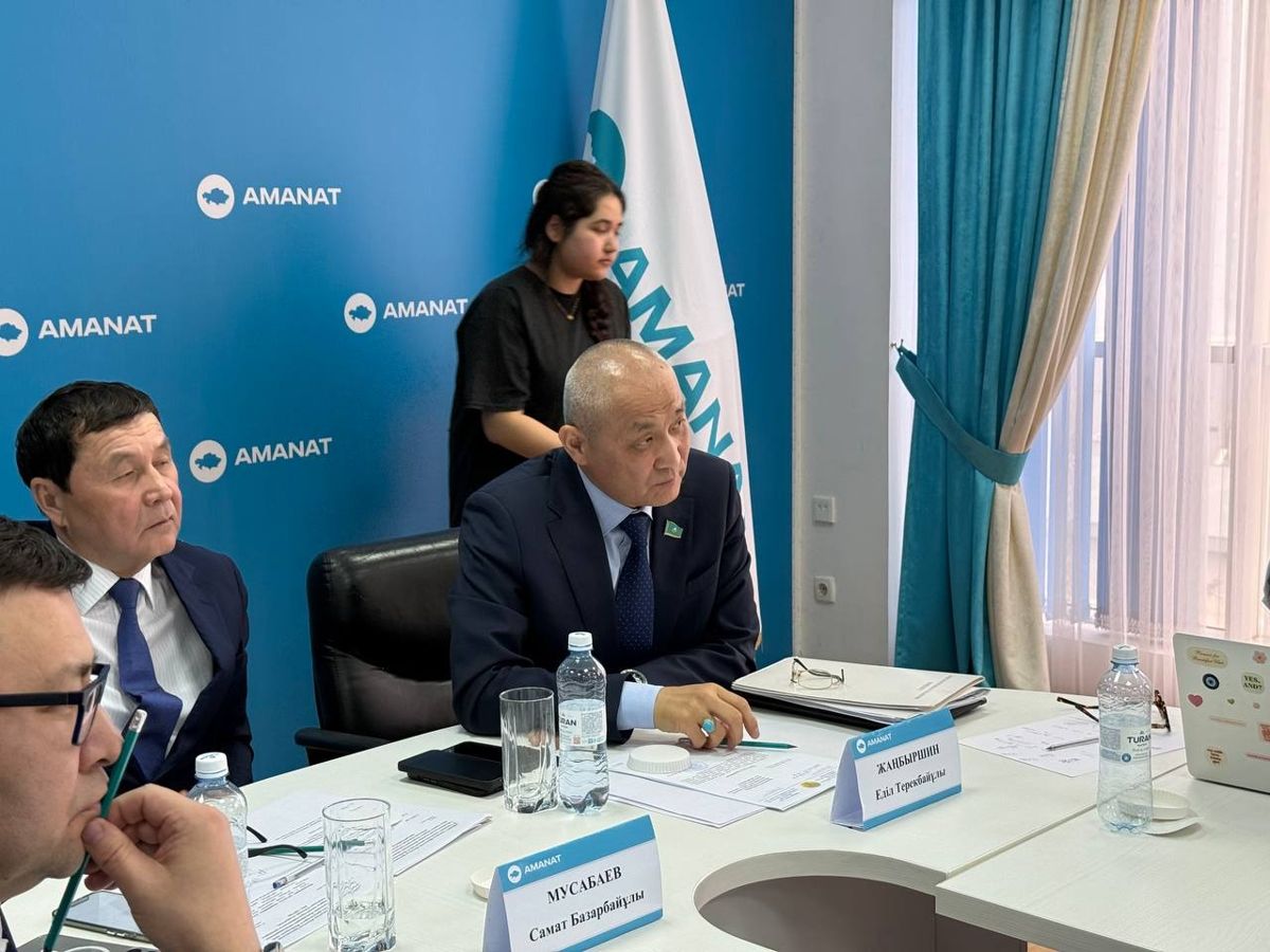 Представители партии Аmanat