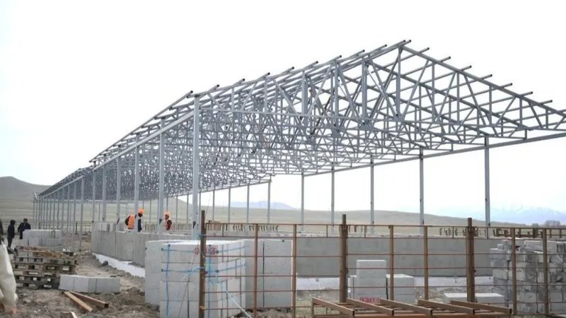 Строительство завода по переработке шерсти