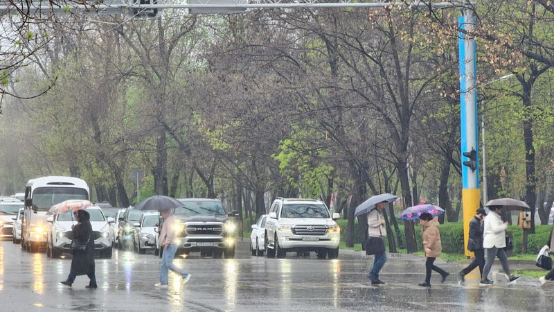 Одностороннее движение ввели на участках улиц в Алматы