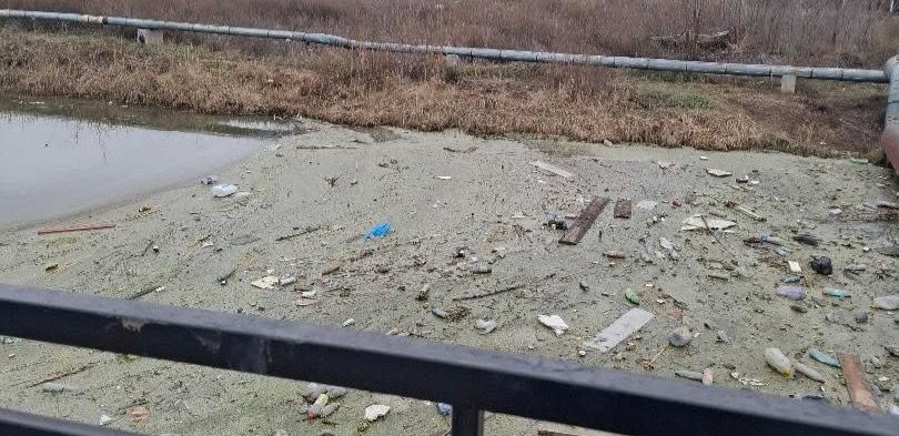 Река в Астане