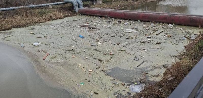 "Дышат болотом". В Астане начали очищать участок загрязнённой реки