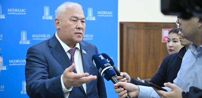 Депутат Абенов призвал проверить 100 тысяч подписей под петицией против эвтаназии собак