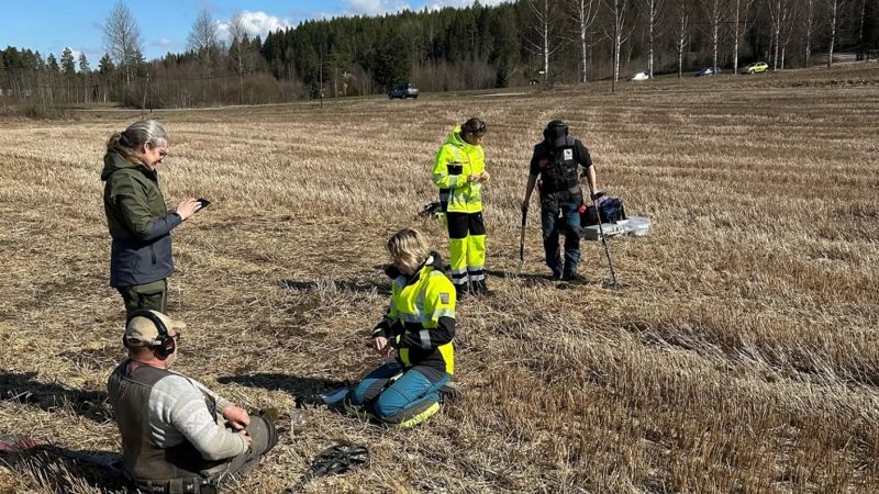 В Норвегии любители раскопок нашли клад викингов