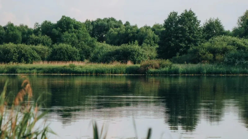 Водоём