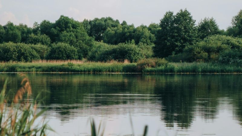 Власти Алматы назвали опасные для купания водоёмы