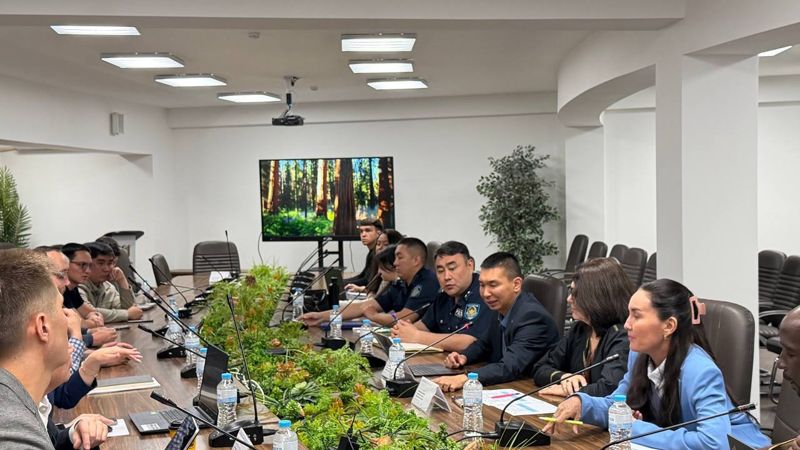 Вернуть дорожную полицию предложили в Казахстане