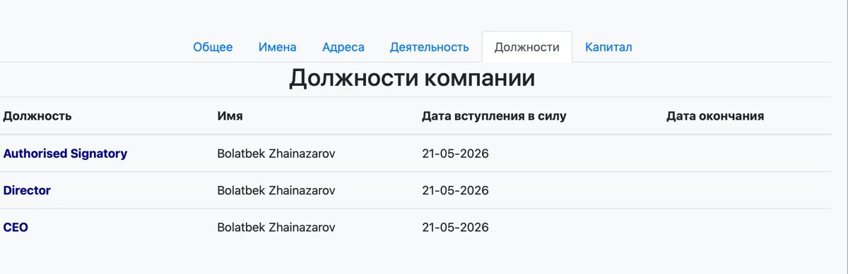 Руководитель холдинга 