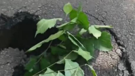 Асфальту нет и года, а он уже просел: алматинка пожаловалась на состояние дороги