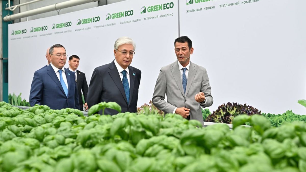 Президент в тепличном комплексе
