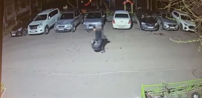 В Астане мужчина решил "переобуть" авто за чужой счёт и попал в полицию 